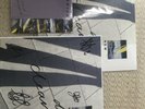 DRY CLEANING RARE LP AND SINGLE-YELLOW VINYL AND SIGNED ARTWORK-LONG LEG-YARD AC