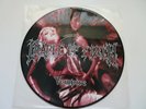 Cradle of Filth VEMPIRE Picture Disc Album LP 12