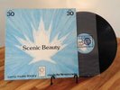 SCENIC BEAUTY * LIBRARY LP PML 30 Parry Music