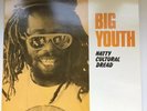 Big Youth Natty Cultural Dread Trojan Near Mint reggae roots dub