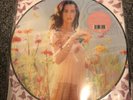Katy perry prism Record Store Day Limited Vinyl Picture Disc Smile Lp RARE RSD ,