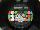 RARE NORTHERN SOUL-BRC RECORDS 101-WALES WALLACE-SOMEBODY I KNOW-45-NICE