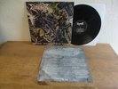 Dismember ?– Where Ironcrosses Grow Lp in unplayed mint Condition