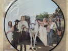 Lana Del Rey Chemtrails Over Country Club Picture Disc fan first vinyl record LP