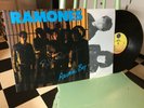 RAMONES ANIMAL BOY LP SIRE 1ST PRS. VINTAGE 1986 SIGNED BY RICHIE PUNK ROCK