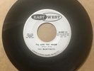 Montereys DOOWOP 45 I'll Love You Again / The American Teens  EASTWEST PROMO VG+