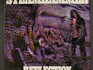 STEAMHAMMER: reflection EPIC 12