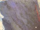 HAROLD BUDD, BRIAN ENO, DANIEL LANOIS - THE PEARL - 12