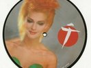 TOYAH SOUL PASSING THROUGH SOUL RAREUK  PICTURE DISC SINGLE