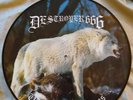 DESTROYER 666 Unchain The Wolves orig vinyl PIC DISC LP NIFELHEIM BEHERIT