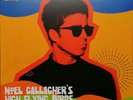 Oasis, Noel Gallagher's High Flying Birds ?– Blinded By The Light, Blue Vinyl