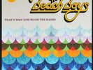 The Beach Boys That's Why God Made The Radio LP VINYL Capitol Records 2012 NEW
