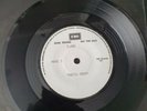 T.REX  METAL GURU WHITE LABEL DEMO..
