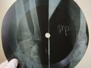 FRANK SINATRA JINGLE BELLS X-Ray USSR Record Roentgen Bones Ribs Music Vinyl