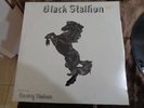 BLACK STALLION FEAT. BENNY MAHAN ORIG. PRIVATE PRESS LP  SPRINGFIELD,MO. RARITY