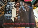 Lenny Kravitz “Are You Gonna Go My Way” Original 1993  Vinyl Lp + Inner