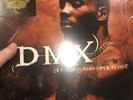 It's Dark and Hell Is Hot [PA] by DMX (Vinyl, May-1998, Def Jam (USA))
