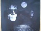 THE SISTERS OF MERCY - Floodland, UK & EU Vinyl LP 1987, MR441L, VERY GOOD PLUS