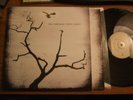 THE AIRBORNE TOXIC EVENT MAJOR DOMO MINT- LP