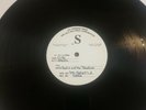 Hootie And The Blowfish Fairweather Johnson LP Test Pressing
