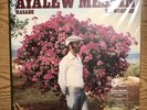 Ayalew Mesfin Hasabe My Worries Colored Me Please 180g Never Played Ethiopian