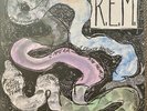 REM R.E.M. - Reckoning - Vinyl LP - 1984 IRS SP-70044