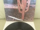 Indian Summer RCA Neon 1971 NE 3 UK LP prog / psych rock RARE starter copy Good+