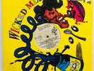 Wicked Mix 30 - 12” Vinyl Snoop Dogg Tribe Called Quest Salt N Pepa