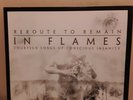 IN FLAMES REROUTE TO REMAIN LP  VINYL RECORD