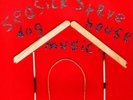 SEASICK STEVE Dog House Music Vinyl NEW & SEALED