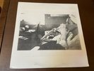 The Aamerican Tenants Tenant Rites LP & CD with INSERT VG+ Chord & Pedal Alt Roc