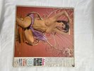 EROTIC Adam Stag Party 8 A Night In Bedlam ft. Wild Party Songs LP 1960 RARE