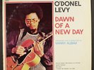 O'DONEL LEVY: dawn of a new day GROOVE MERCHANT 12