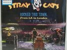NEW Stray Cats 