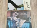 2 X David Bowie Reissue Vinyl LP Man Who Sold The World & Lodger