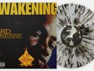 LORD FINESSE THE AWAKENING VINYL ME PLEASE EXCLUSIVE SPLATTER VINYL PRESSING