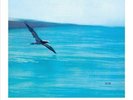 Chick Corea Return To Forever 180g Vinyl ECM 2015 Reissue Mint (See Description)