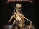 Megadeth The World Needs A Hero vinyl LP ID23z