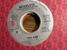 NITEFLYTE 45 You Are / Mono Stereo Promo 1981 ARIOLA boogie Modern Soul
