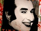 Tiny Tim Chameleon LP - Autographed