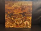 Angelcorpse Angel Corpse Hammer Of Gods Vinyl Picture LP