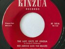 RED ARROW AND THE BRAVES The Last Days of Kinzua KINZUA 45 Rare Rockabilly MP3