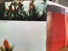 Nine Inch Nails NIN The Fragile 3LP heavy rare new vinyl first press US nothing