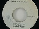 Horace Andy 