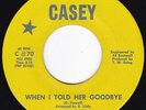 AL Hippie Ballroom Psychedelia 14 FEET When I Told Her Goodbye 45 Casey HEAR