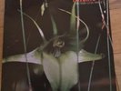 Psychic TV Dreams Less Sweet  Vinyl LP Record Album CBS 25737 Some Bizarre 1983
