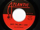 DELACARDOS No/Sweet Soul 45rpm Got No One b/w She's The One I Love HEAR