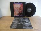 Cro Mags - Near Death Experience LP / Century Media 1993 / Hardcore Metal