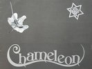 Frankie Valli - The Four Seasons - Chameleon (LP, RE)