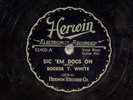 78 RPM -- Booker T. White, Herwin 92400 - Sic 'Em Dogs On / Po' Boy, E Blues